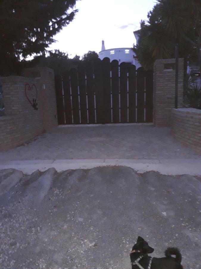 Alojamento Local Patudos, Suite Com Terraco Privado Тавіра Екстер'єр фото